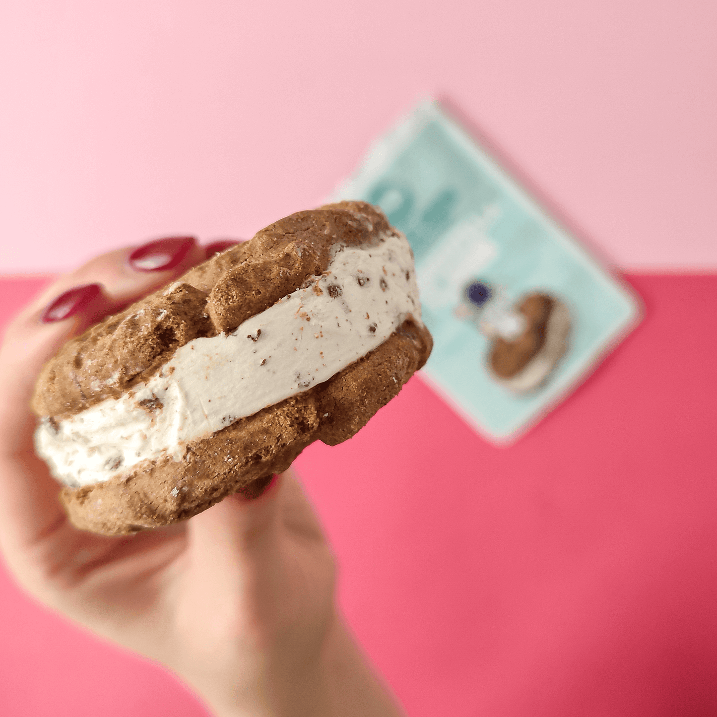 Gefriergetrocknetes Eiscreme-Set